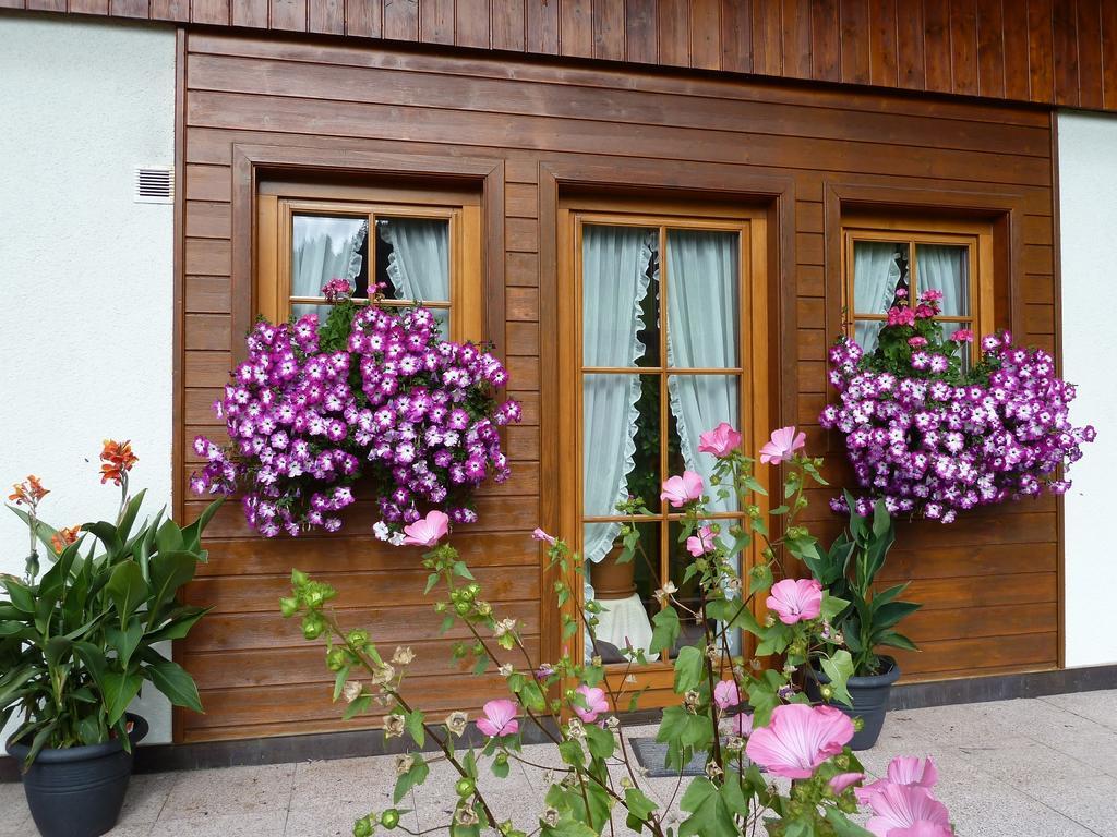 Апартаменты Haus Silvia Верфенвенг Экстерьер фото
